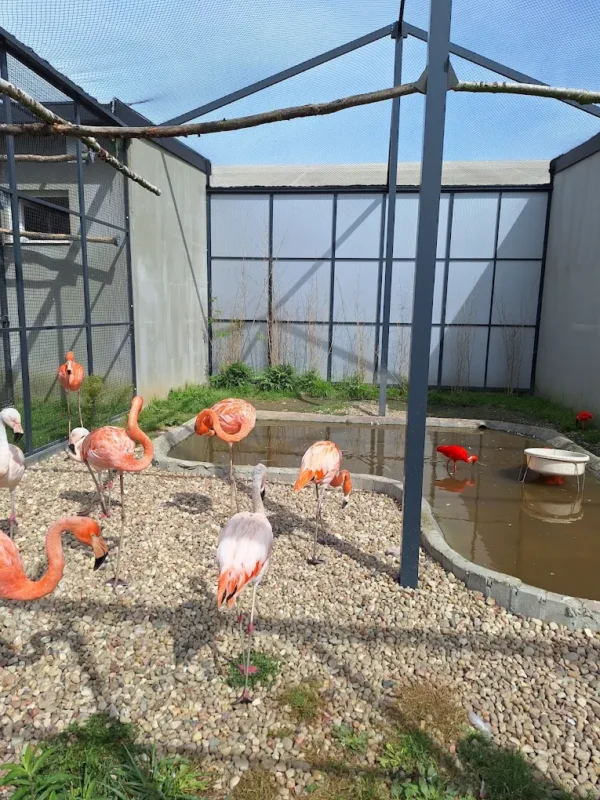 Częstochowa Mini Zoo Poczesna